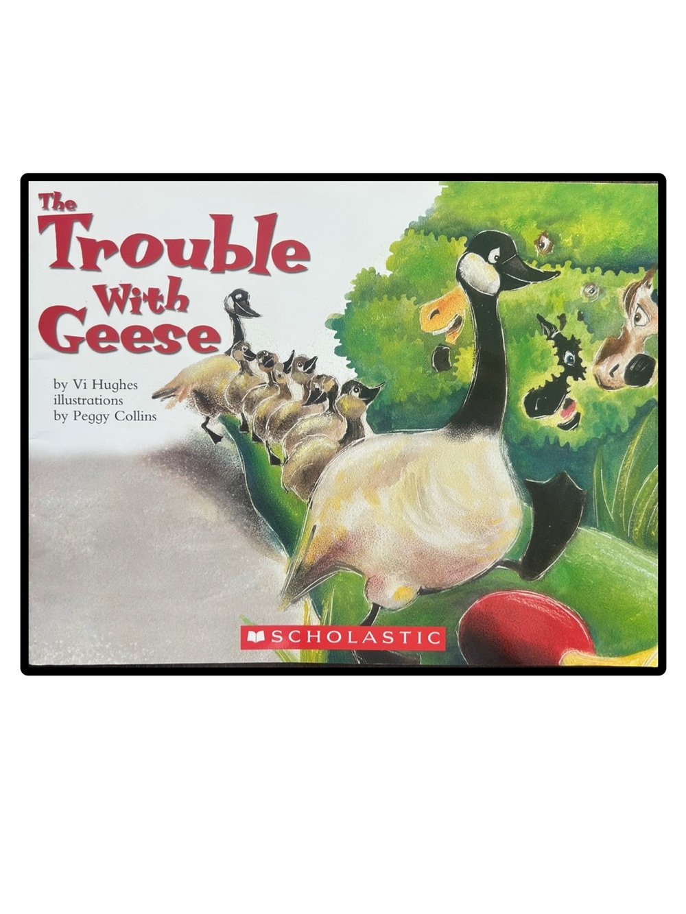 The Trouble with Geese Literacy Place Softcover